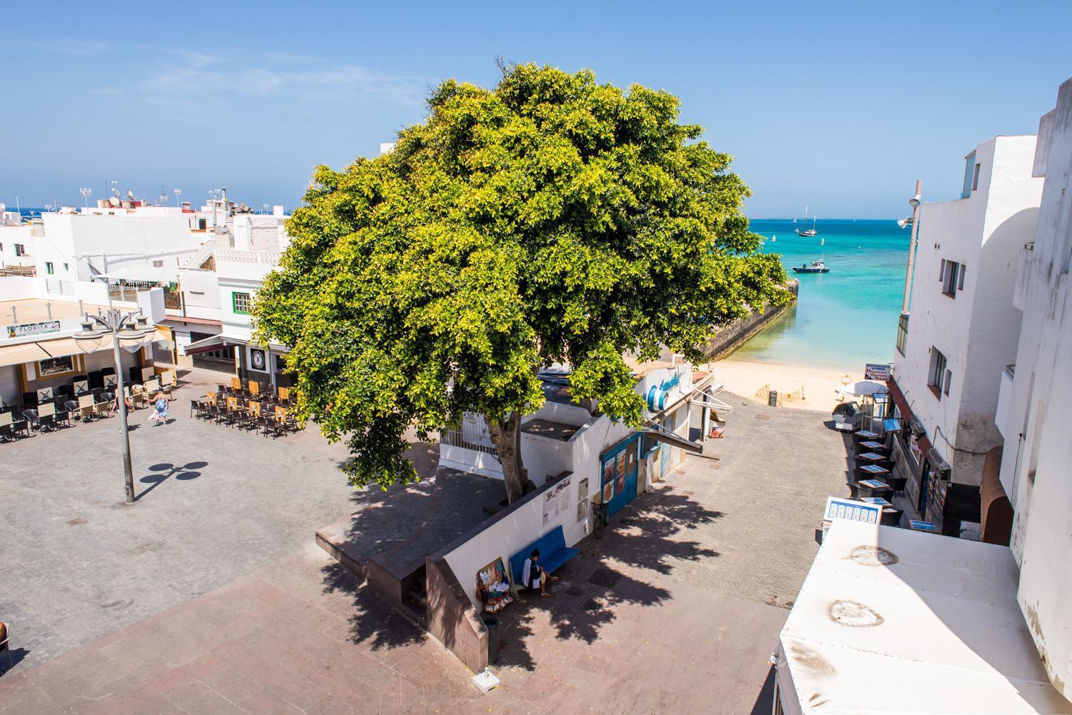 4Rooms Fuerteventura Corralejo Dış mekan fotoğraf
