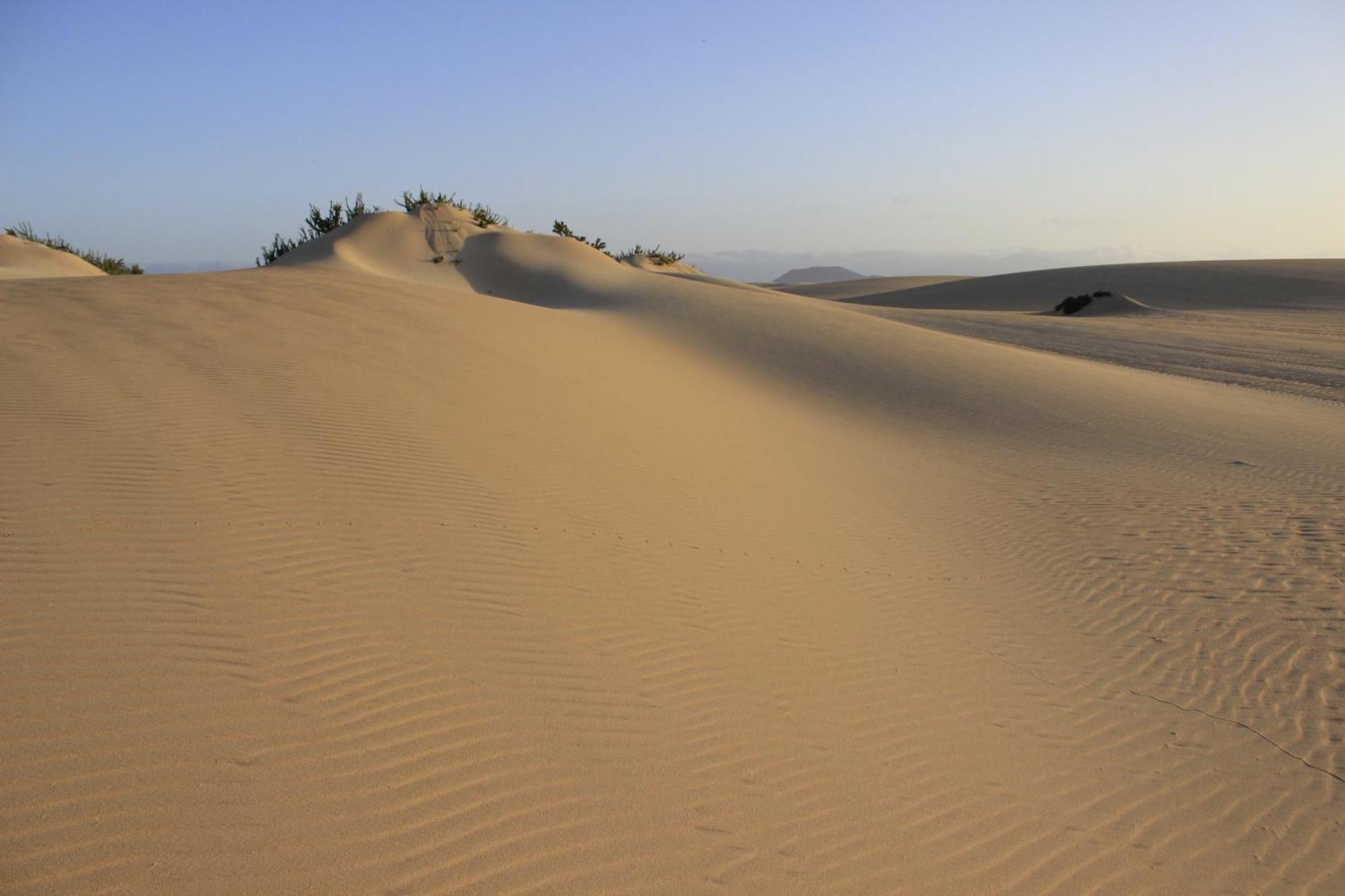 4Rooms Fuerteventura Corralejo Dış mekan fotoğraf